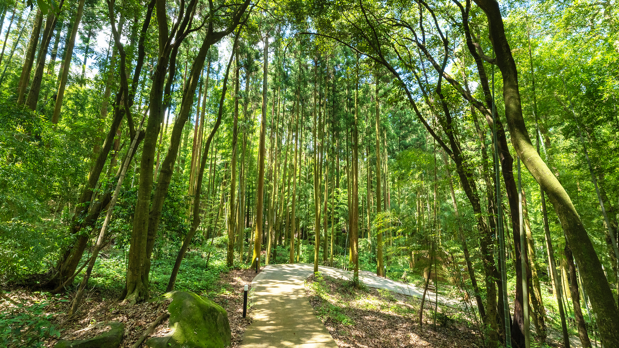 館内イメージ。自然が織りなす風の音楽、太陽の下で心も安らぐ時をお過ごしください