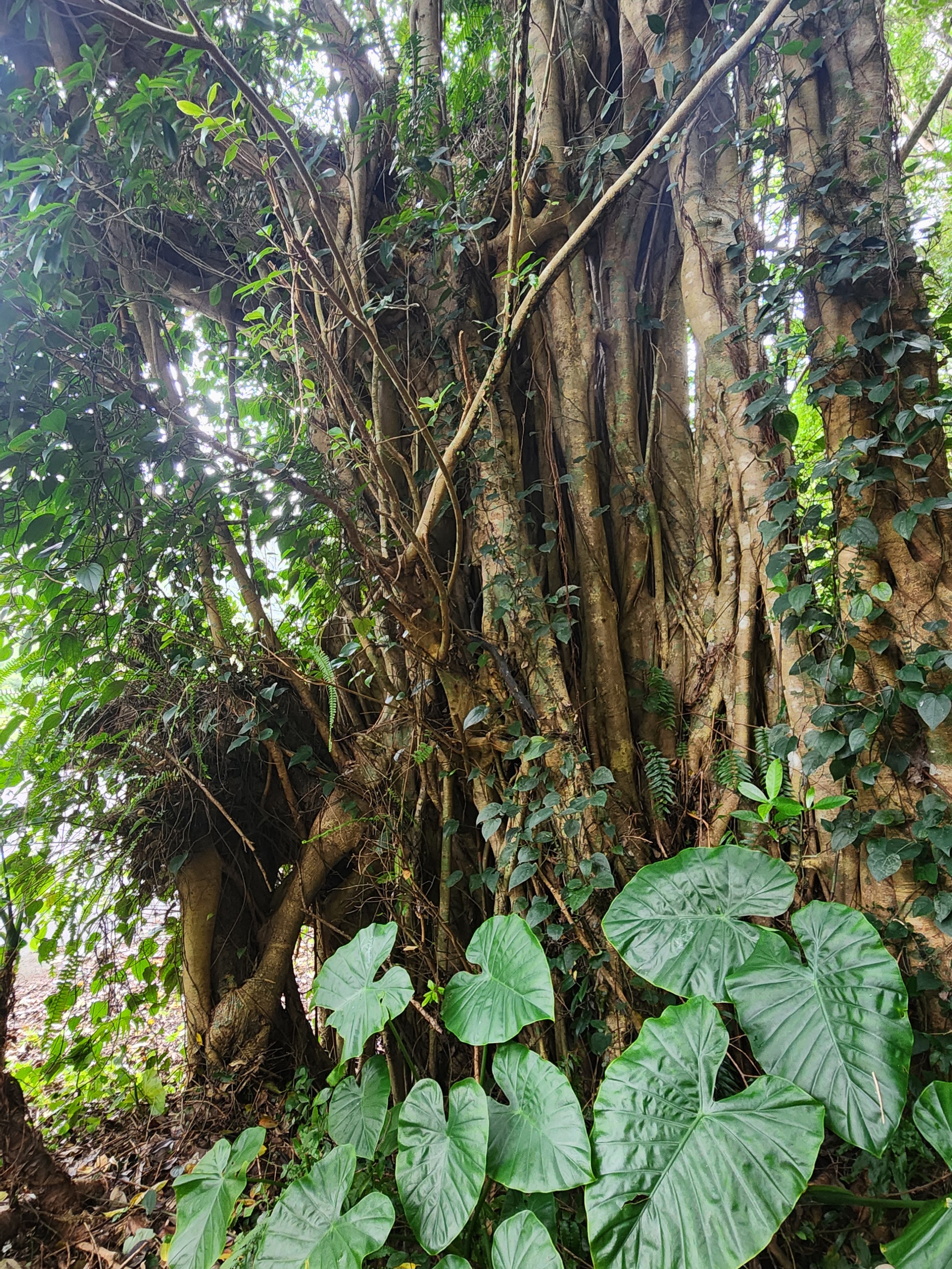 のんびりガイドツアー