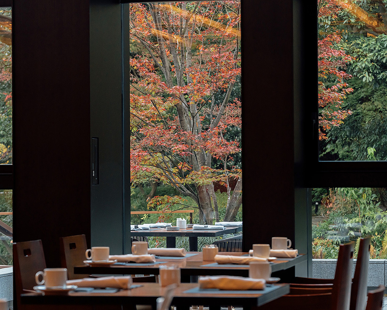 レストラン「エンバ・キョウト・チョップハウス」から見た秋の「積翠園」