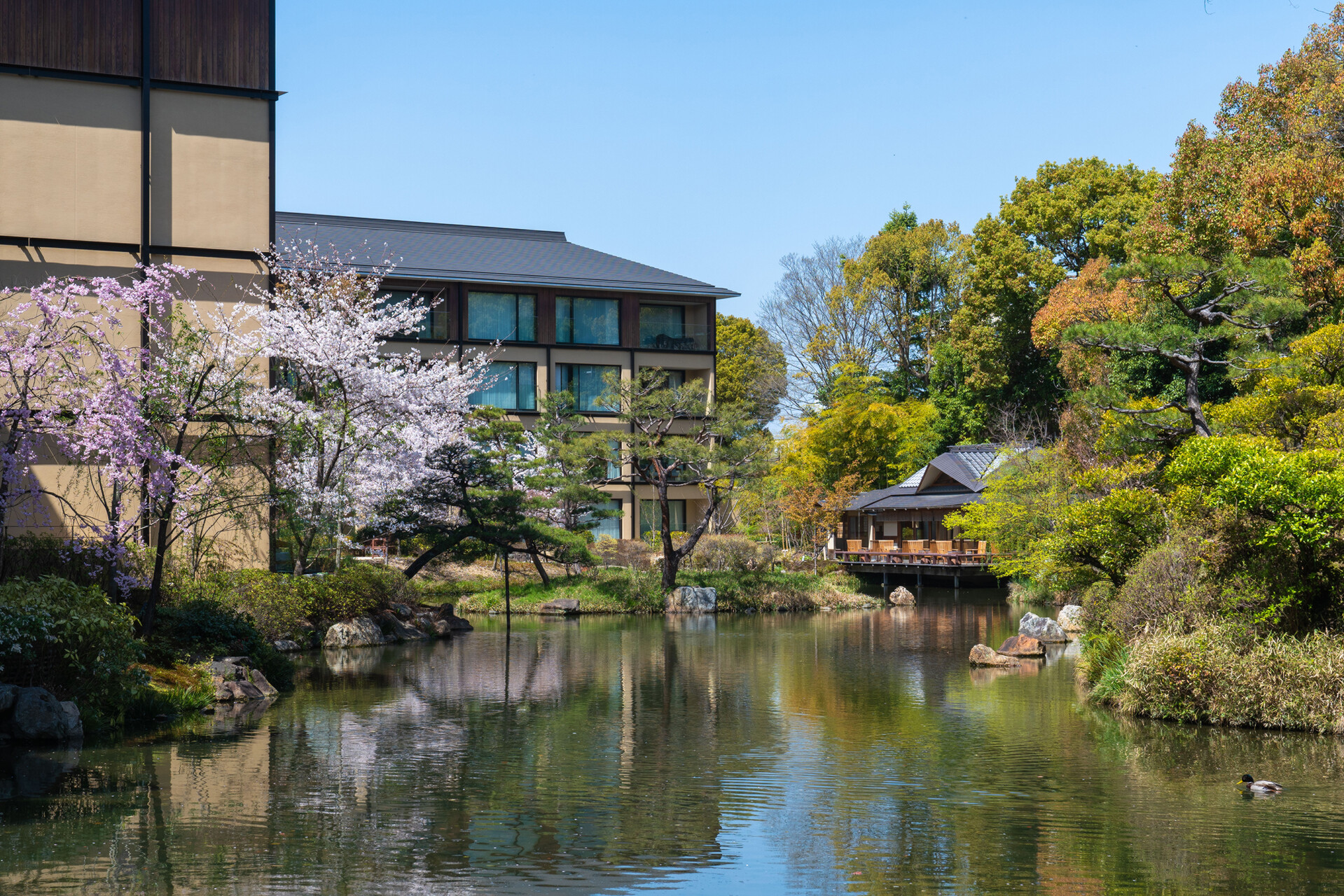 フォーシーズンズホテル京都(眺望・庭園)