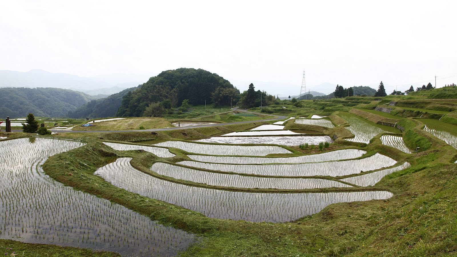 棚田