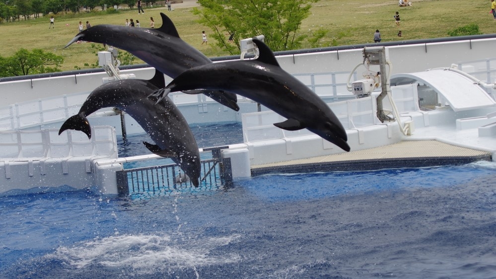 【京都水族館の大人2名分のチケット付】当館から徒歩1分でお子様連れでも楽々♪家族の思い出造りを応援