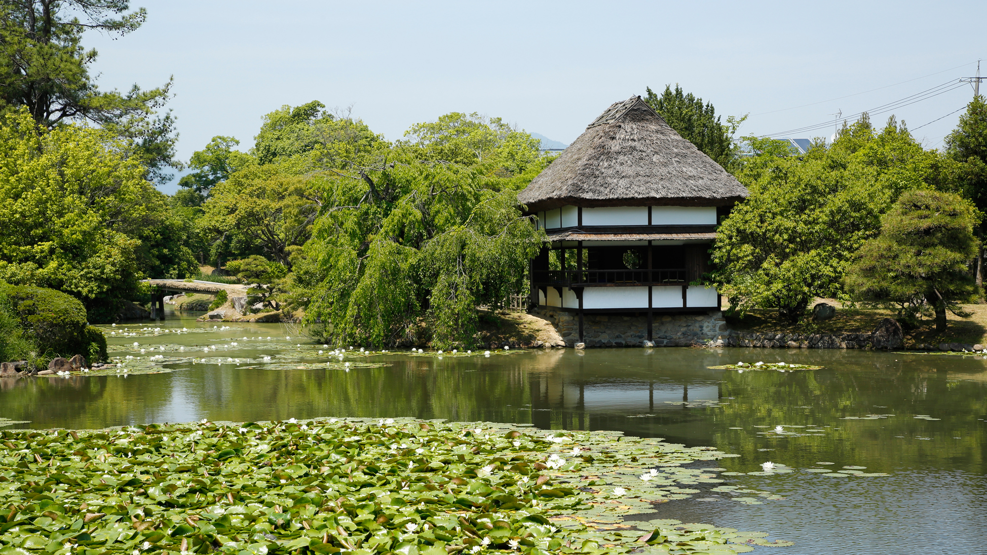 【衆楽園】国名勝・四季の調和と洗練された美を感じる大名庭園