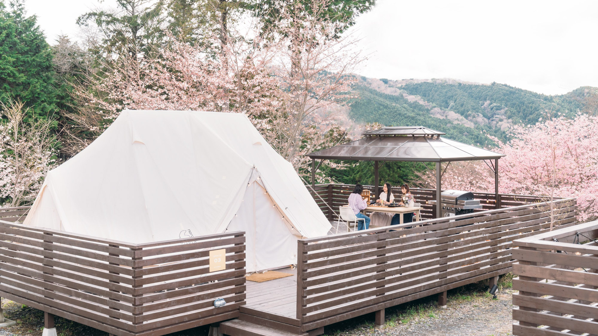 【春】桜の中に佇む白いGRACE TENT。春だけの景色に包まれて過ごす時間
