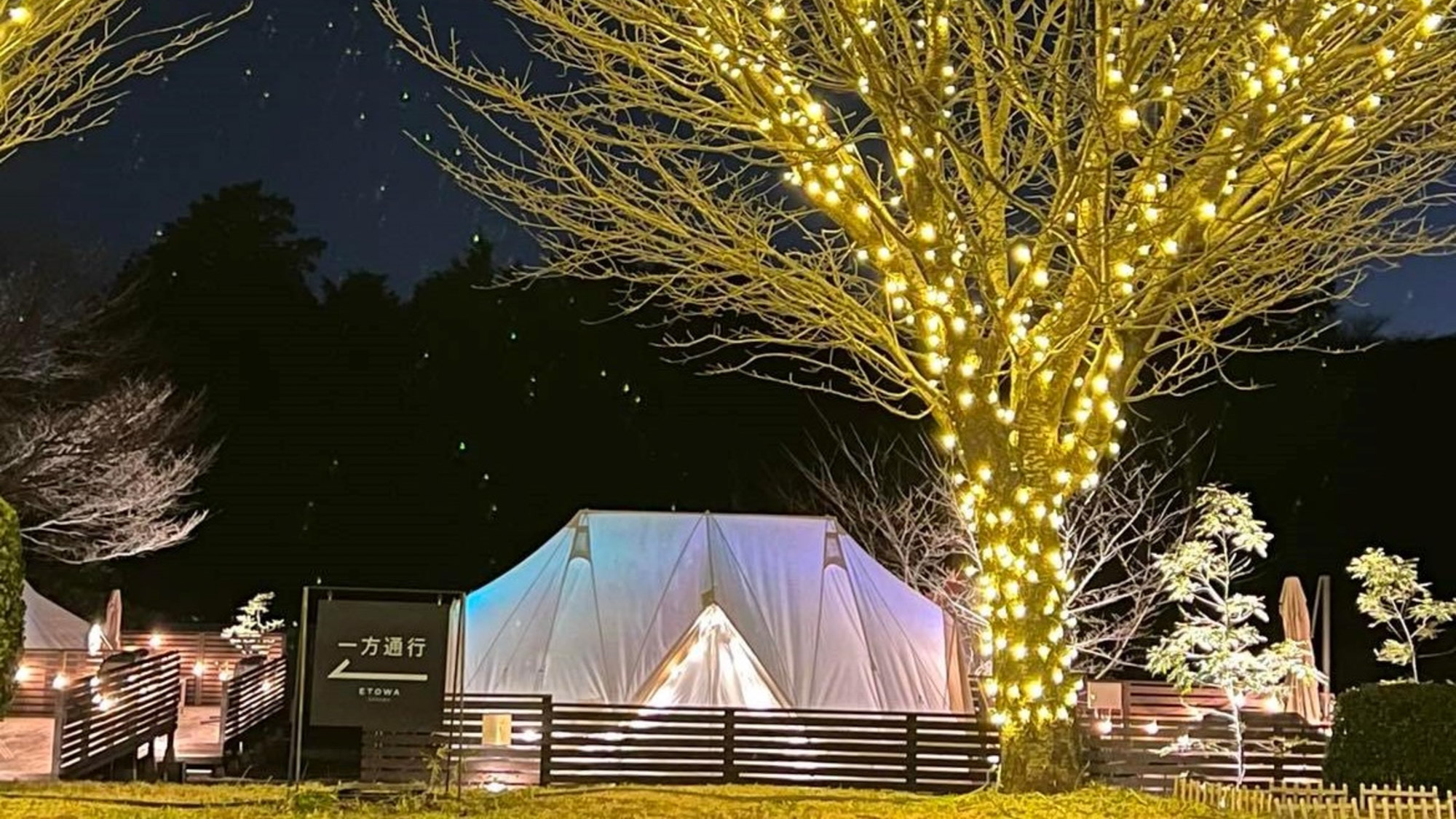 【冬】季節限定のイルミネーションが灯る夜。きらめく光に包まれて過ごす特別な時間を。