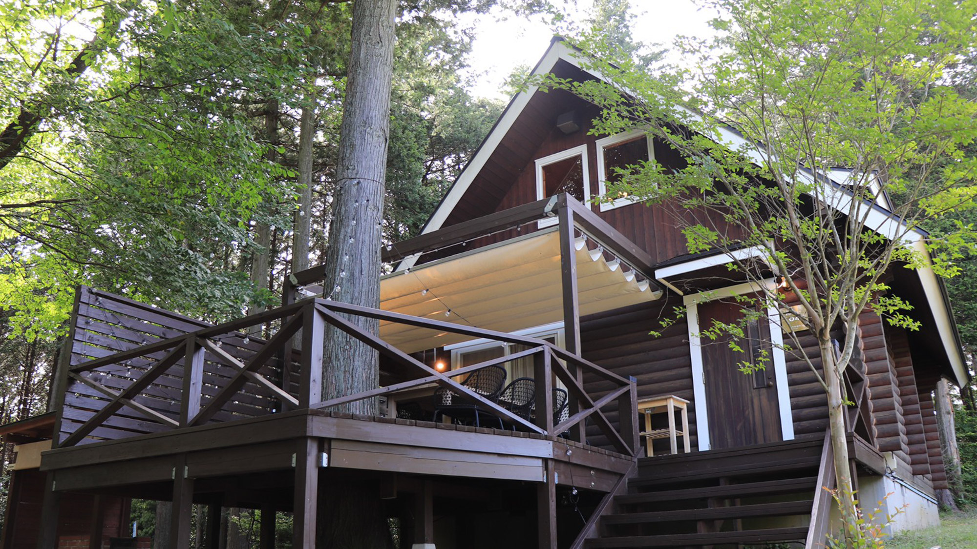 【FOREST CABIN】森の緑に囲まれる、自然をいちばん身近に感じるキャビン。