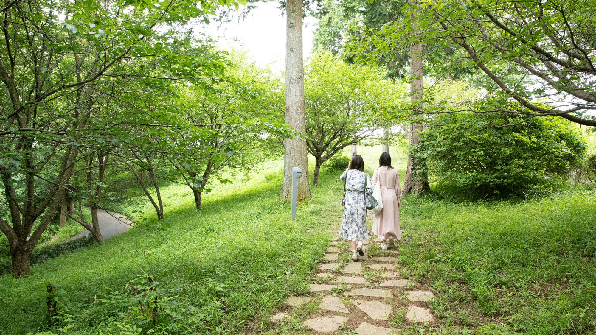 森の小径をゆっくりと歩いて、お気に入りスポットを見つけてくださいね。