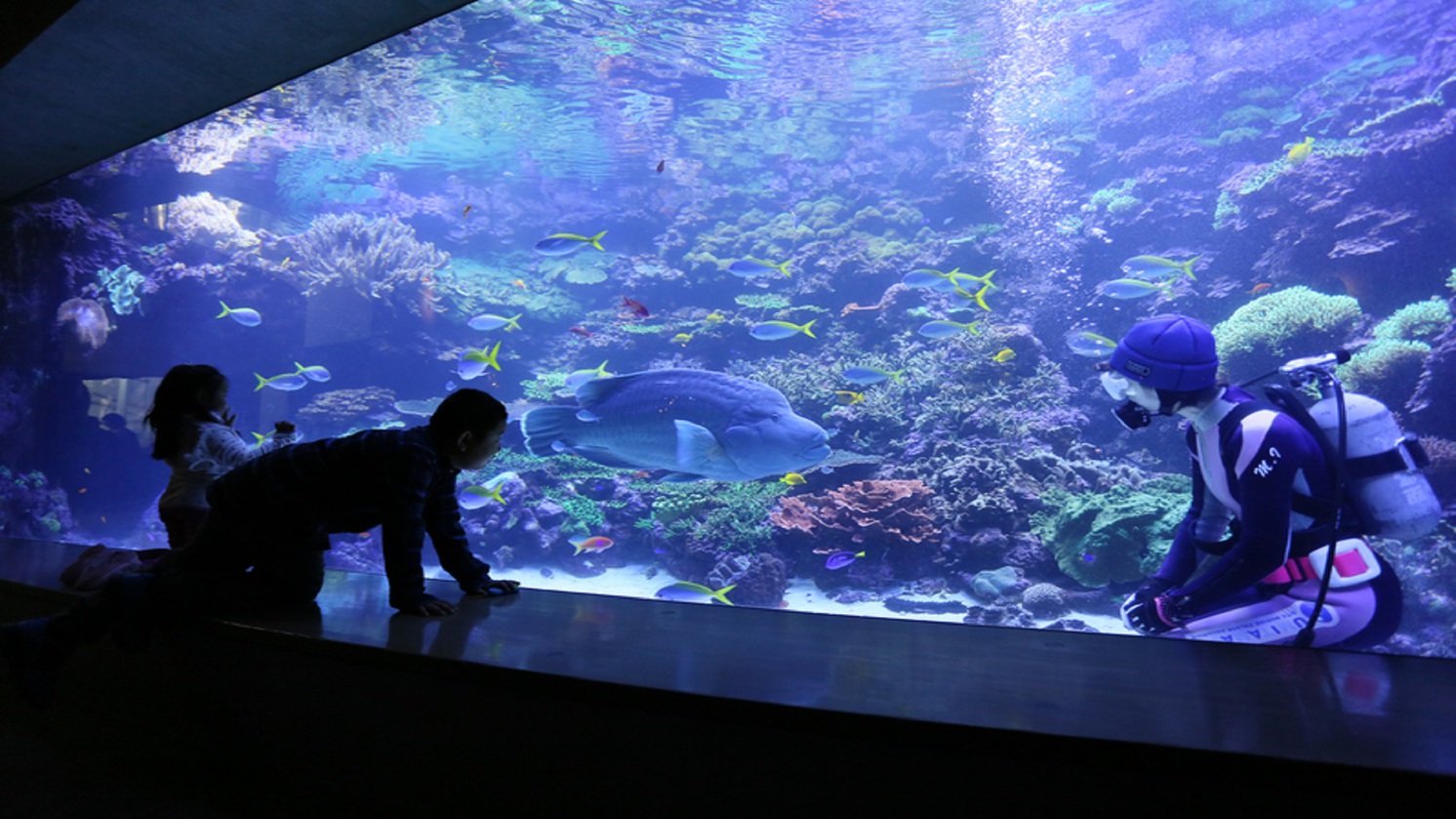 【大分マリーンパレス水族館『うみたまご』】入館チケット（×おとな2名分）付プラン♪