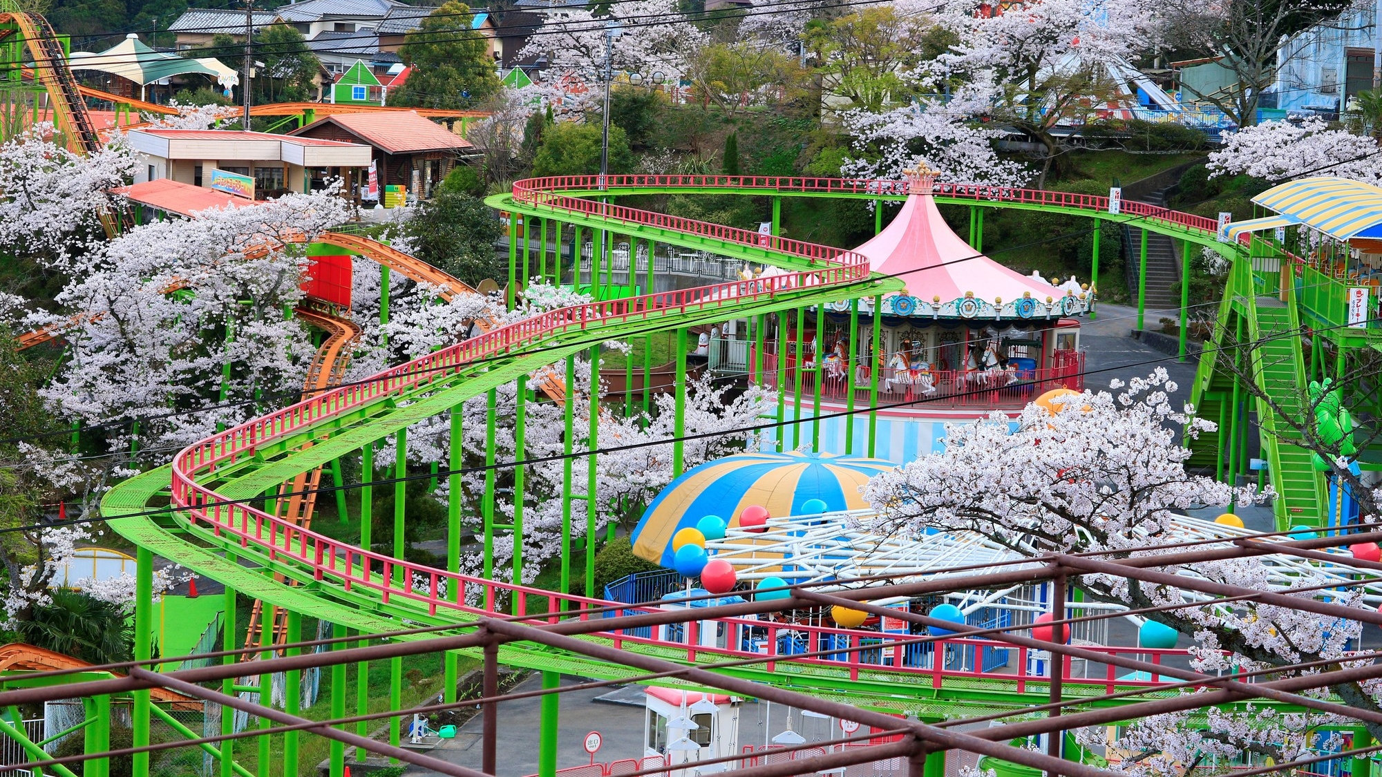【当館から車で約15分】温泉やアトラクション、動物とのふれあいも楽しめる遊園地「別府ラクテンチ」