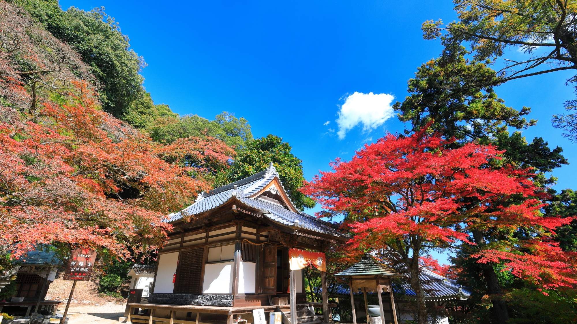 【当館から車で約30分】平安時代に創建された古刹で、美しい紅葉の名所として知られる「西山興隆寺」