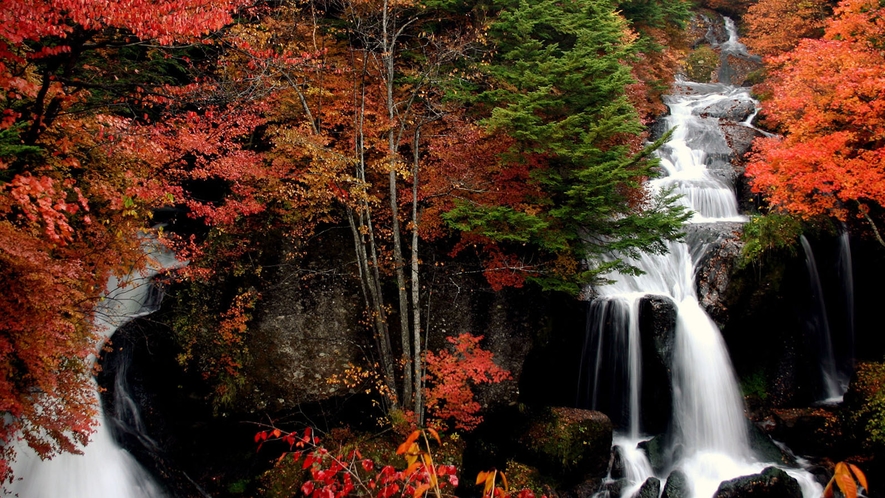 【秋の日光】龍頭の滝