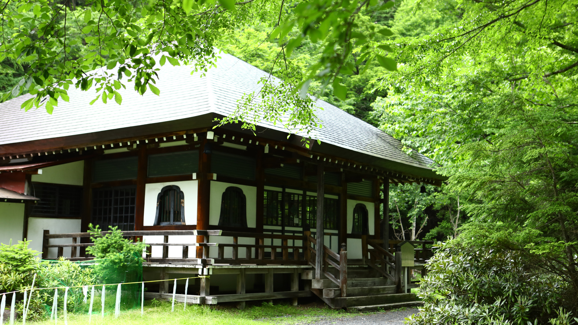 【周辺・景観】温泉寺