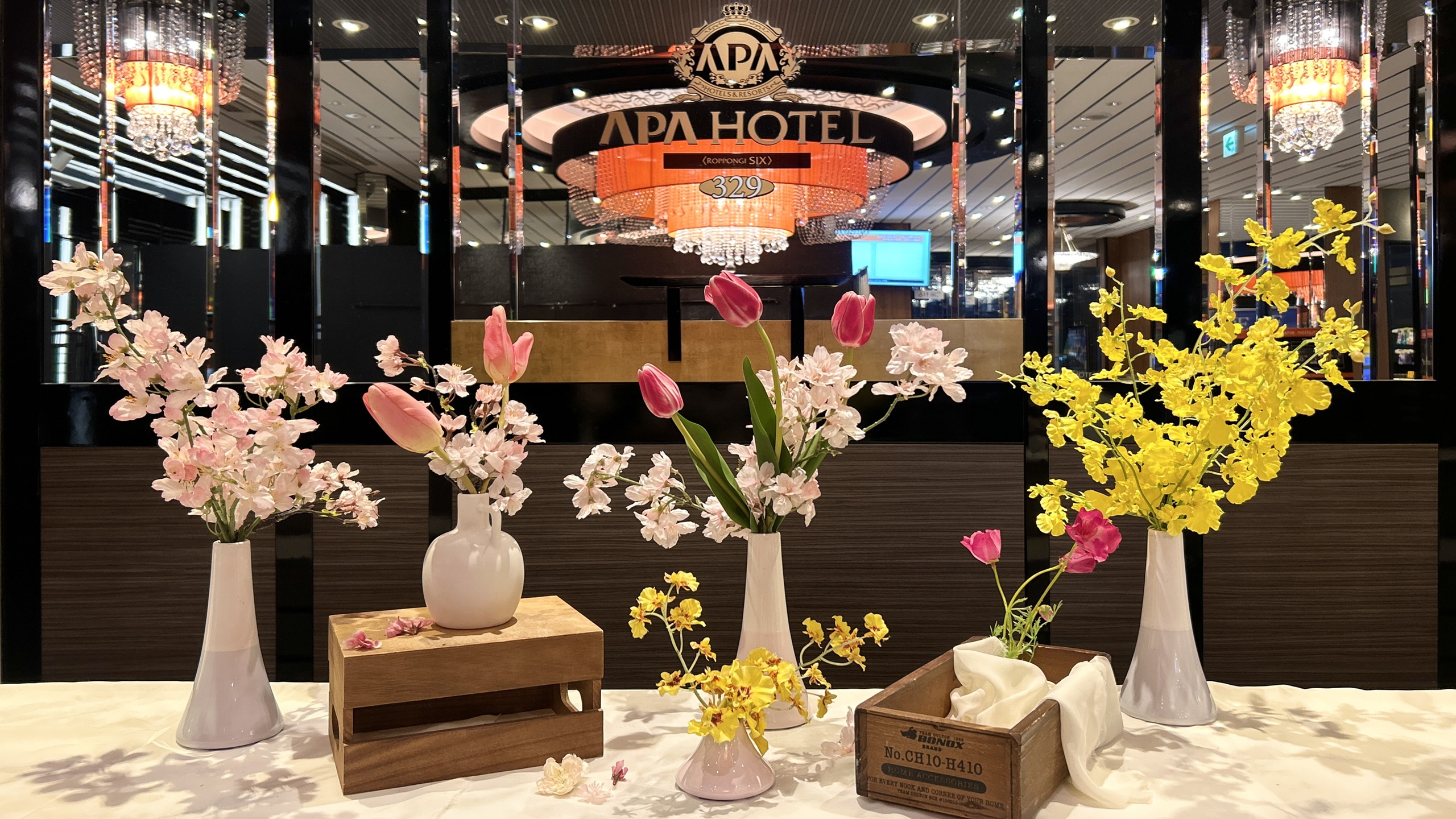 春装飾をおこなっております♪