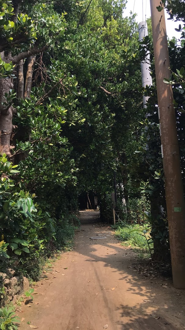 備瀬フクギ並木　Villa BISEより徒歩1分