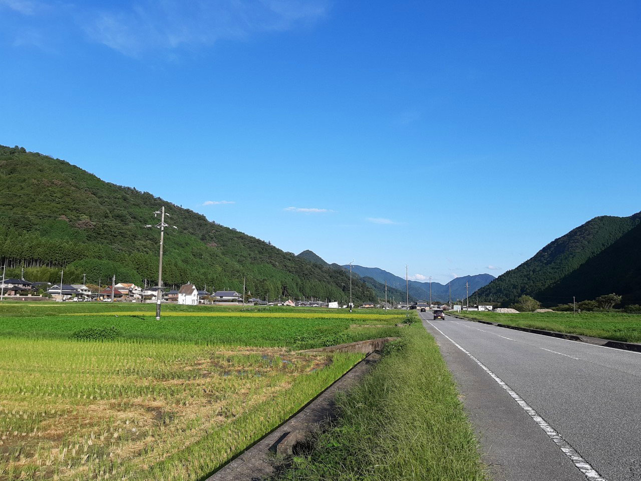 お宿近くの田園風景