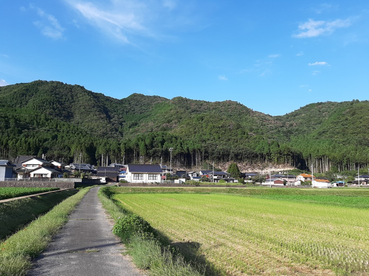 お宿近くの田園風景