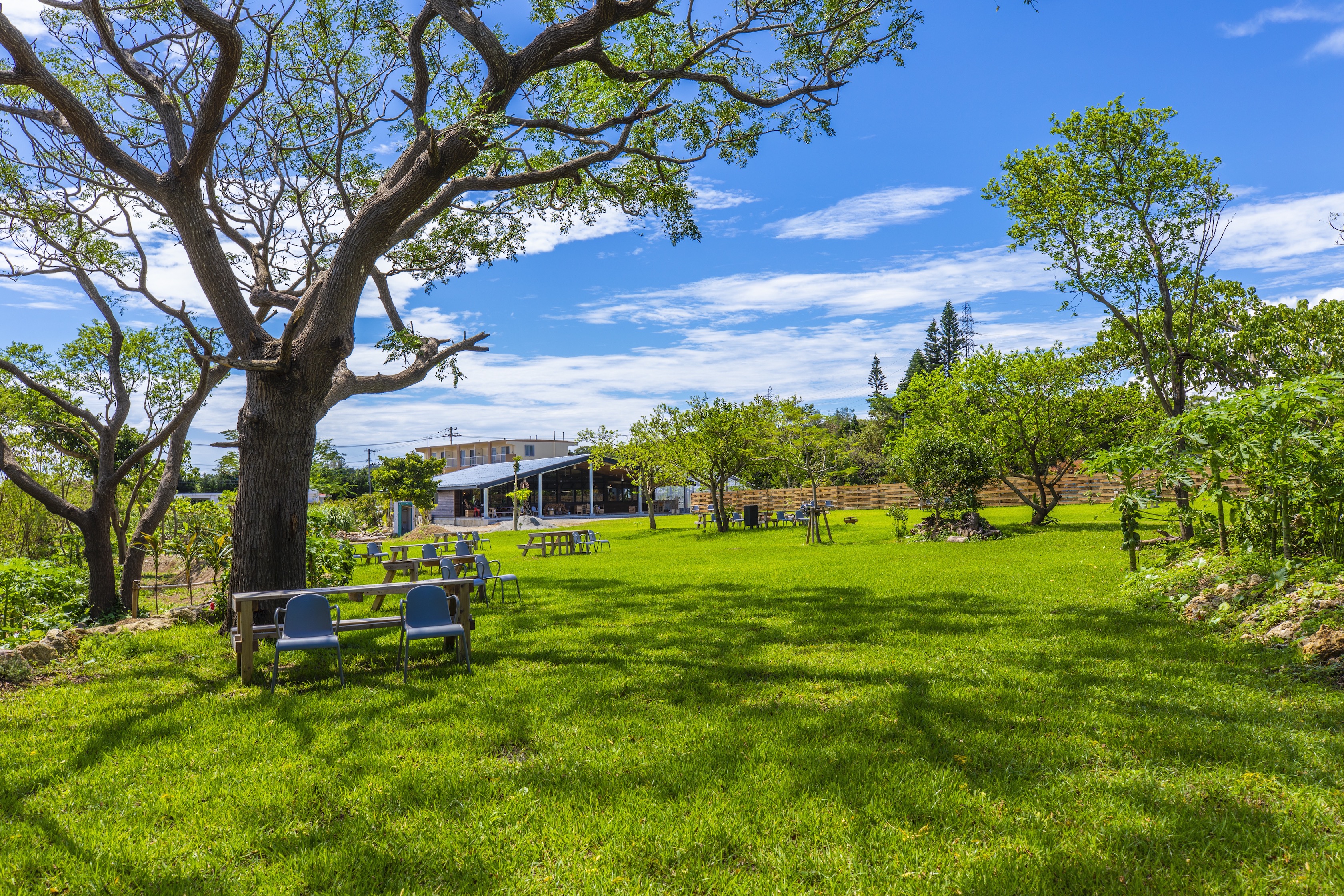 ホルトノキ ホテル トロピカルガーデン 宿泊予約 楽天トラベル ホルトノキ ホテル トロピカルガーデン 宿泊予約 楽天トラベル
