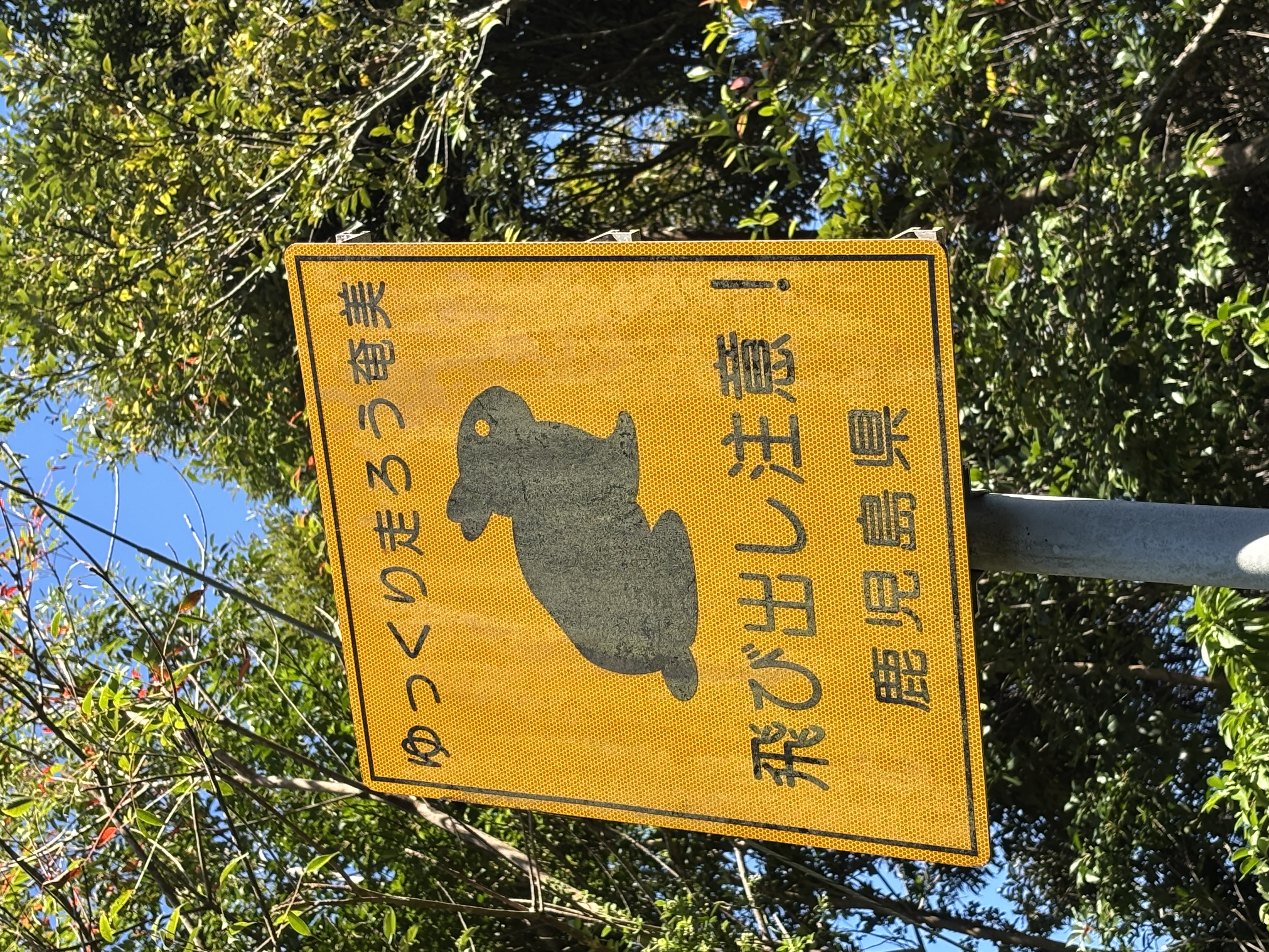 クロウサギツアー