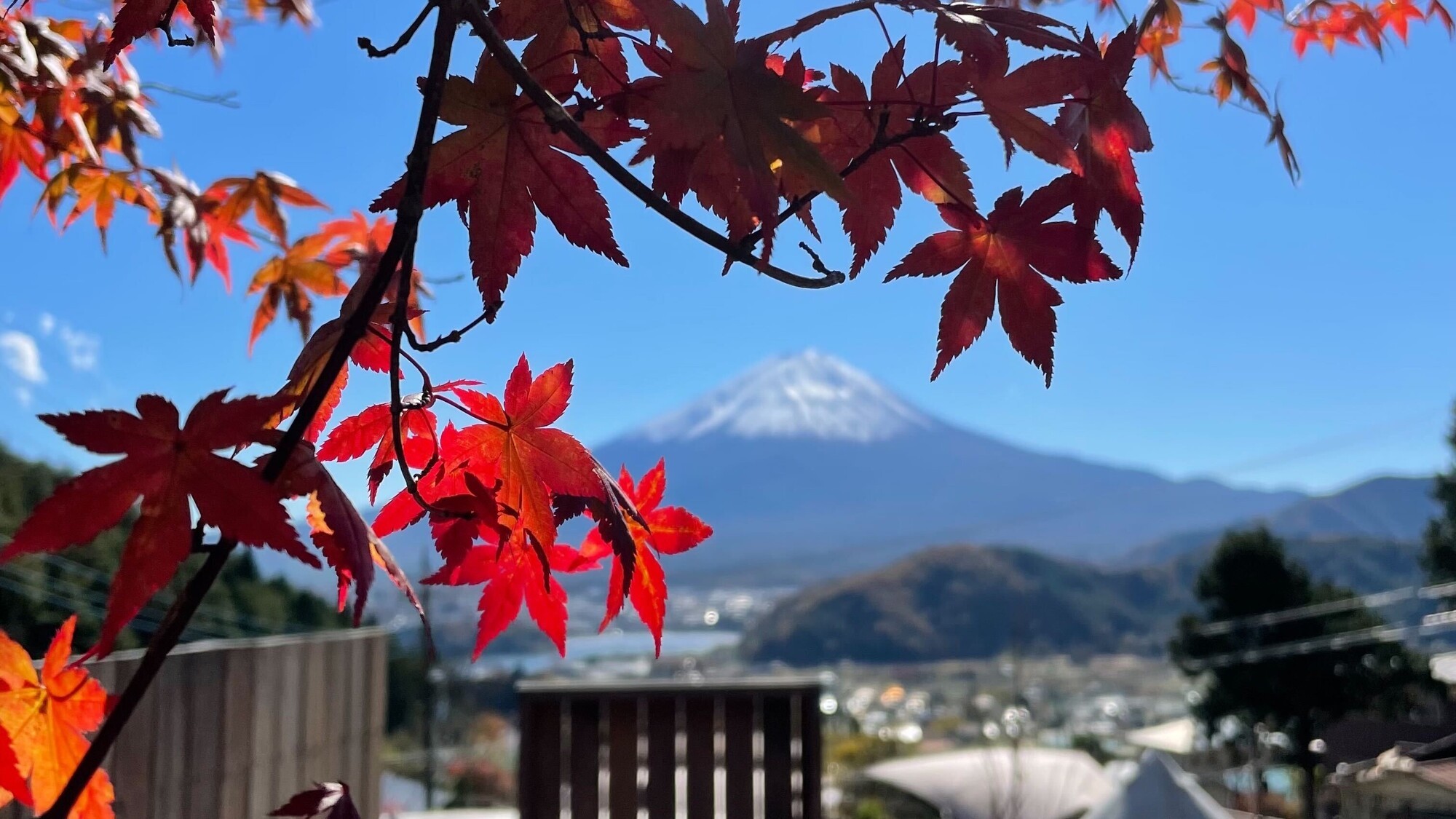 秋　紅葉と富士山
