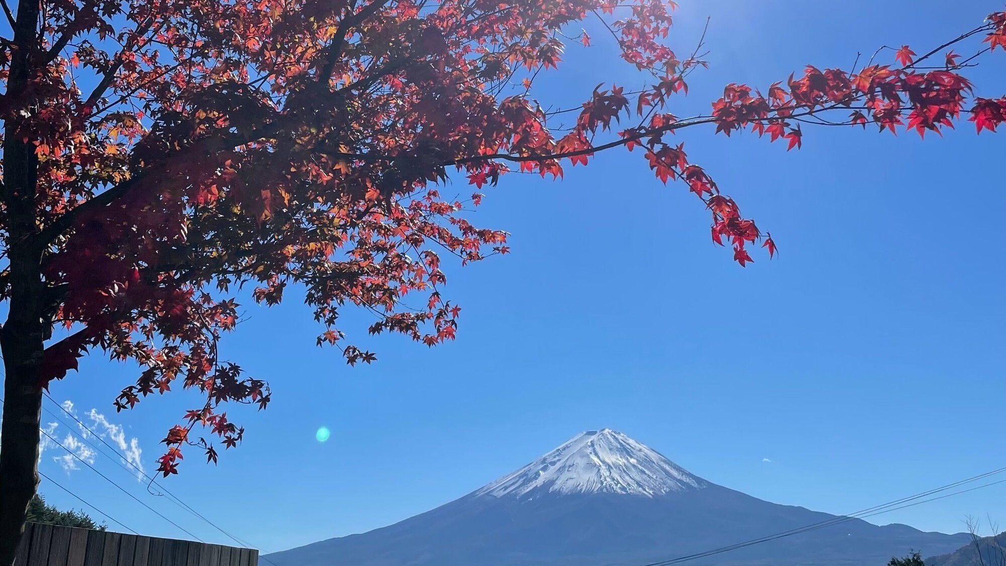秋　紅葉と富士山