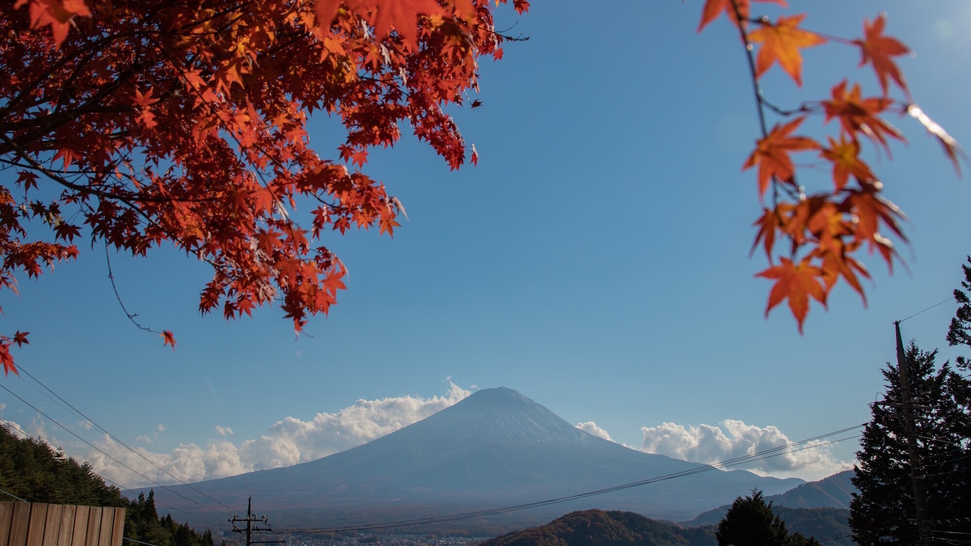 紅葉と富士山