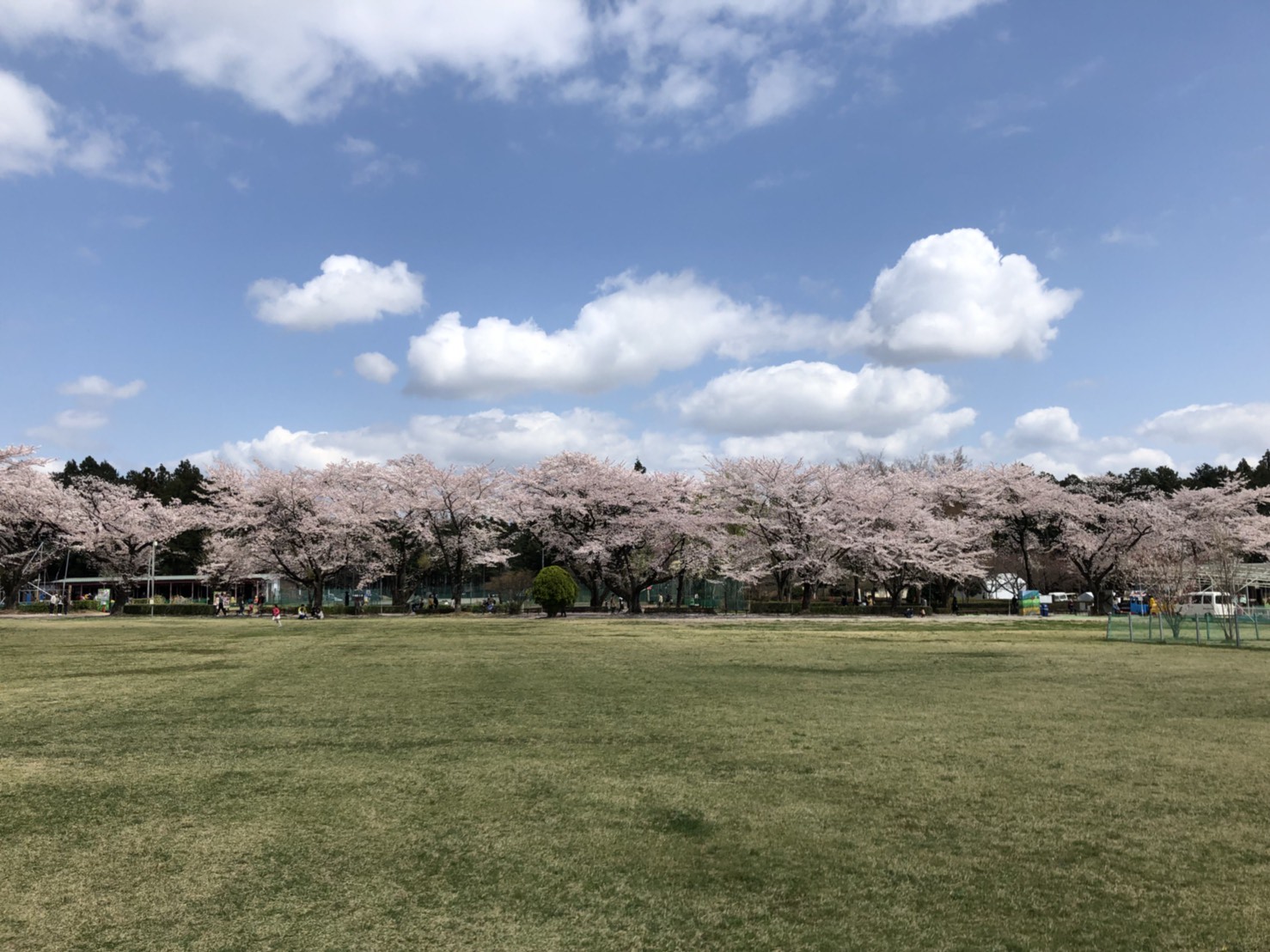 【周辺観光】千本松牧場