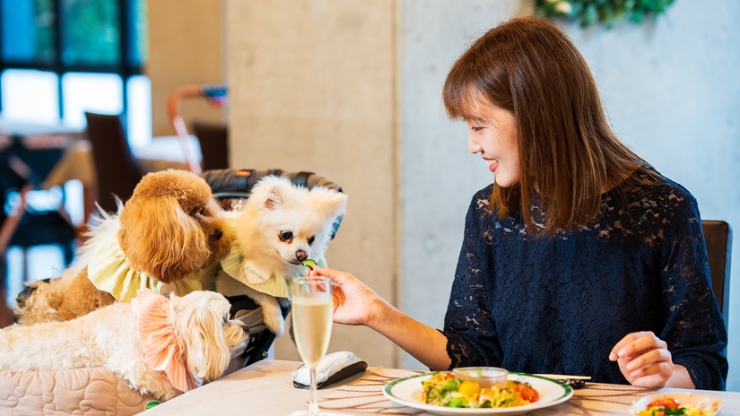 【さき楽】30日前までの予約でお一人4400円OFF｜愛犬利用料無料＜プレミアムコース＞