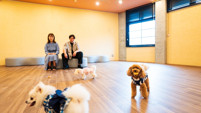 【スタンダード】厳選牛ステーキと旬の味覚を／愛犬と過ごす静かな別府ステイ＜スタンダードコース＞