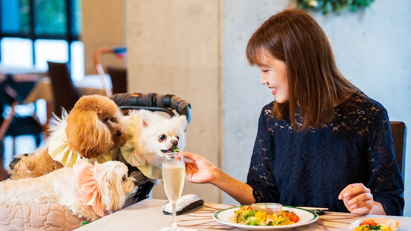 7月8月限定【モニタープラン】軽めのご夕食で、愛犬との気軽な別府ステイ＜ライトコース＞