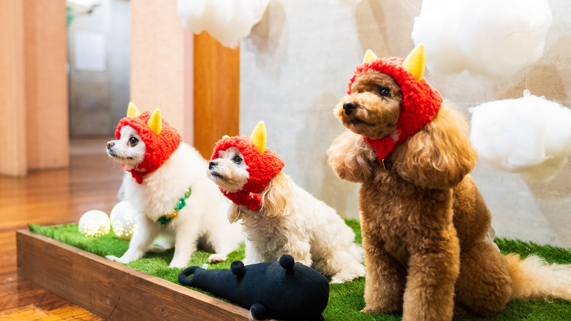 別府 丘と海のドッグリゾート（旧：別府風雅） - 写真 84