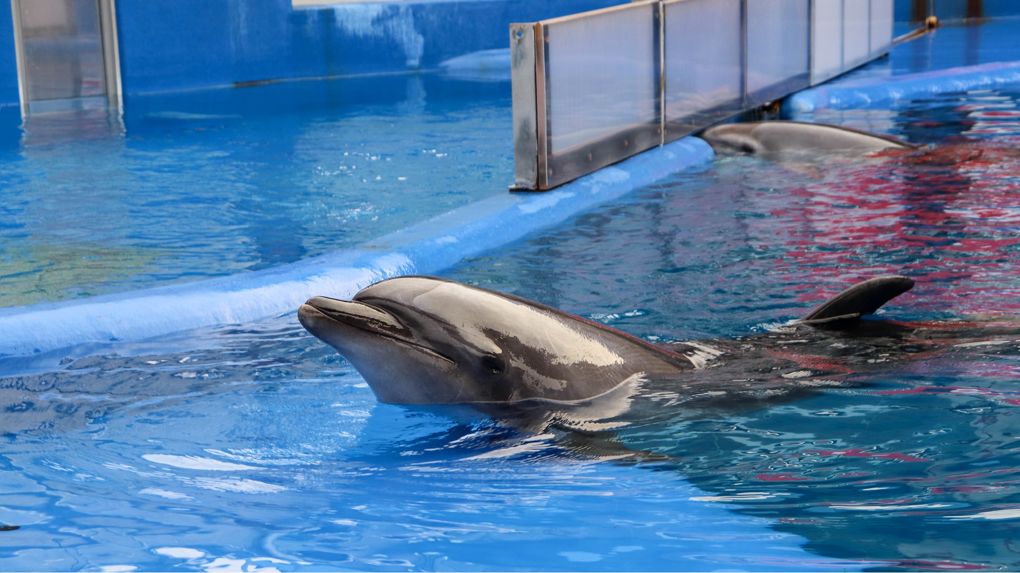 【うみたまご水族館】