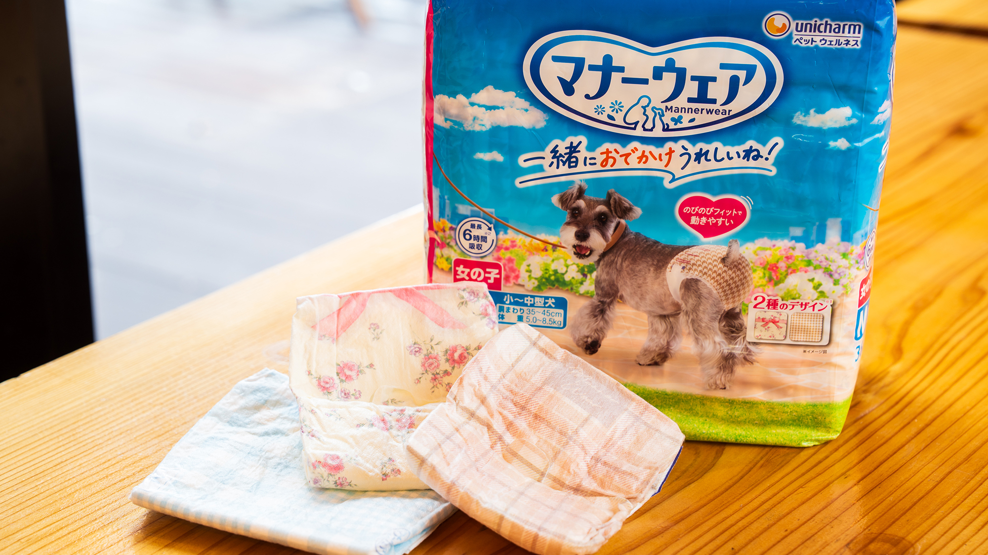 別府 丘と海のドッグリゾート（旧：別府風雅） - 写真 70