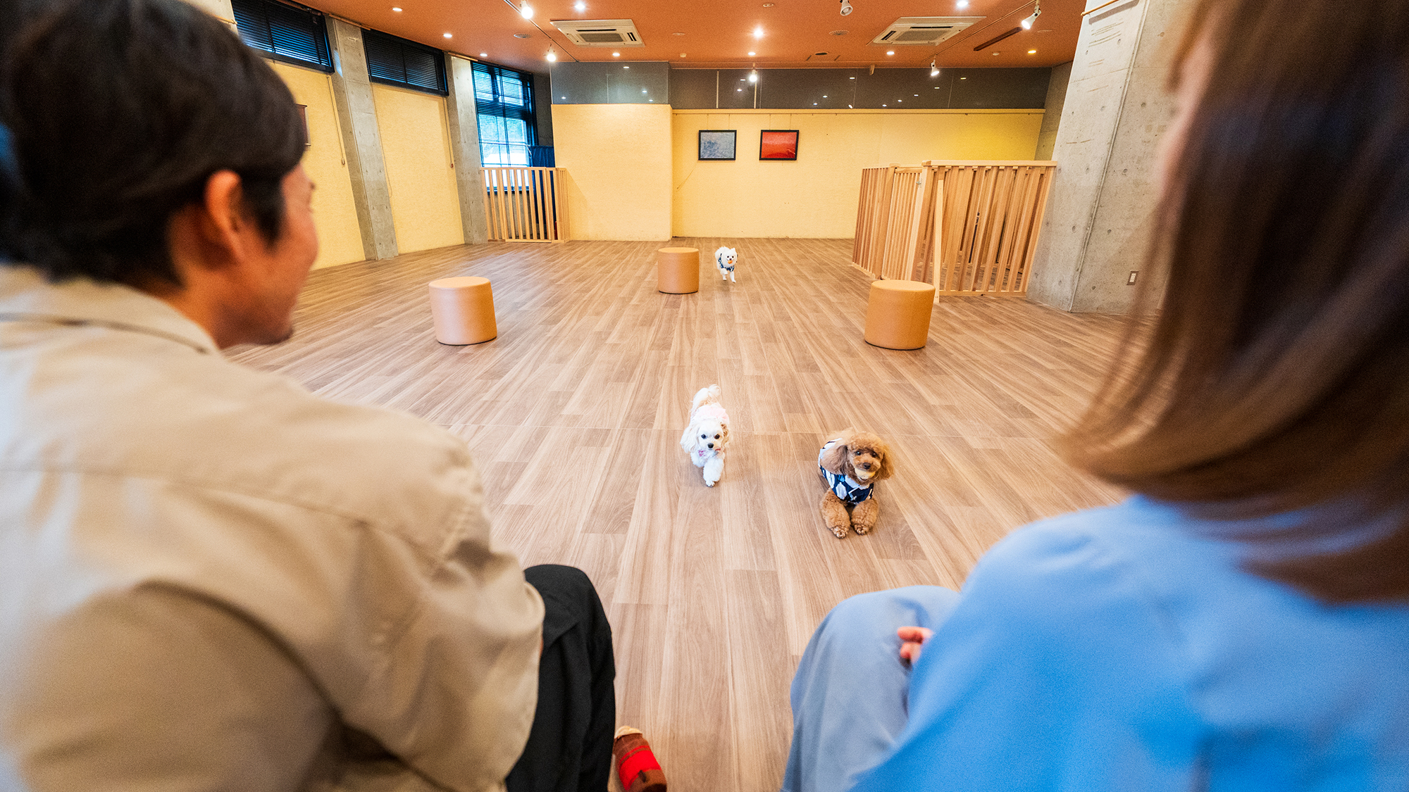 別府 丘と海のドッグリゾート（旧：別府風雅） - 写真 88
