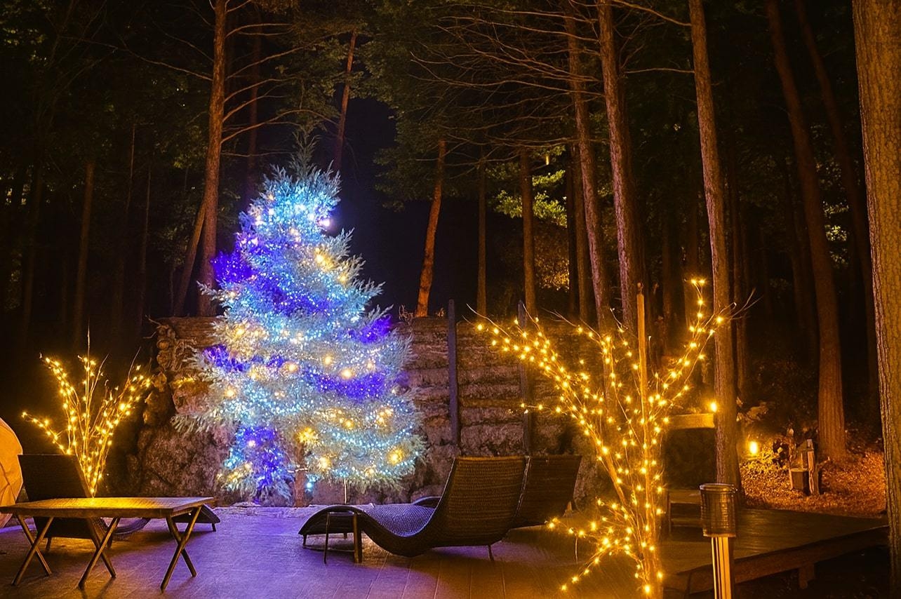 焚火を囲むクリスマスBBQ｜ダッチオーブンチキンのスペシャルディナー＜VILLA・2食付＞