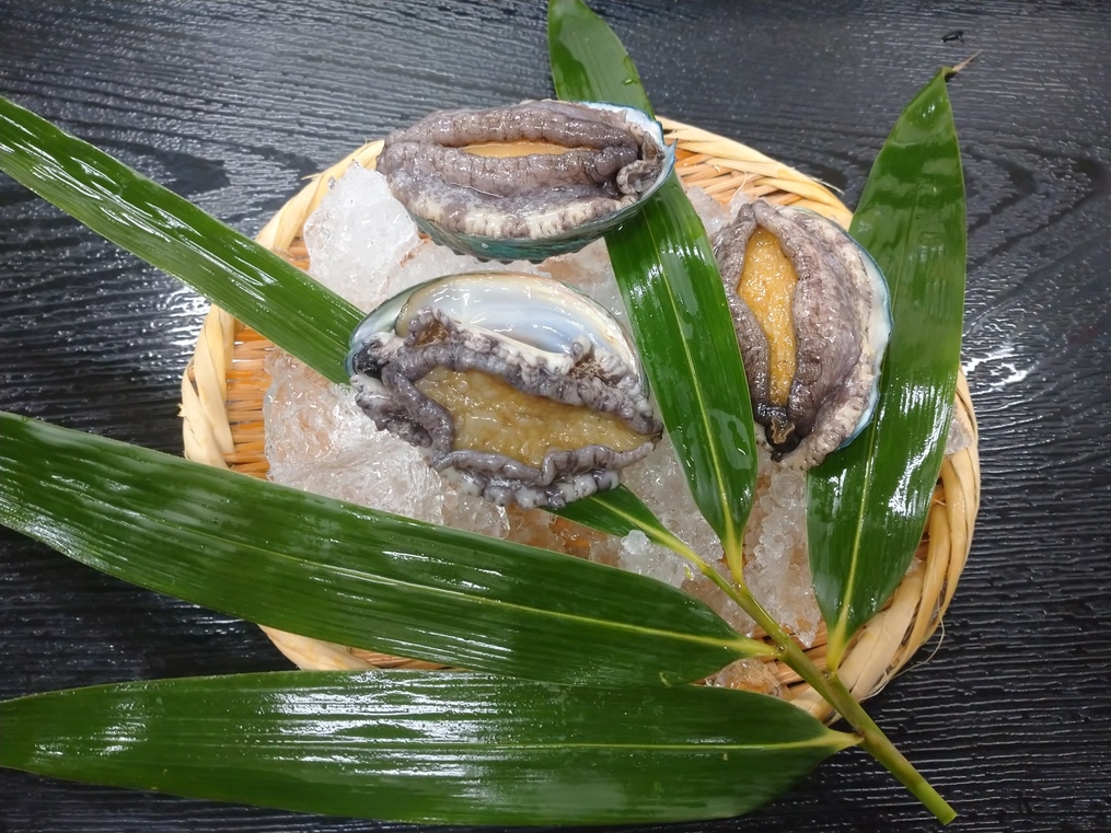 癒しの湯（鉱泉）＆『アワビの踊焼』＆海鮮を味わおう二食付プラン
