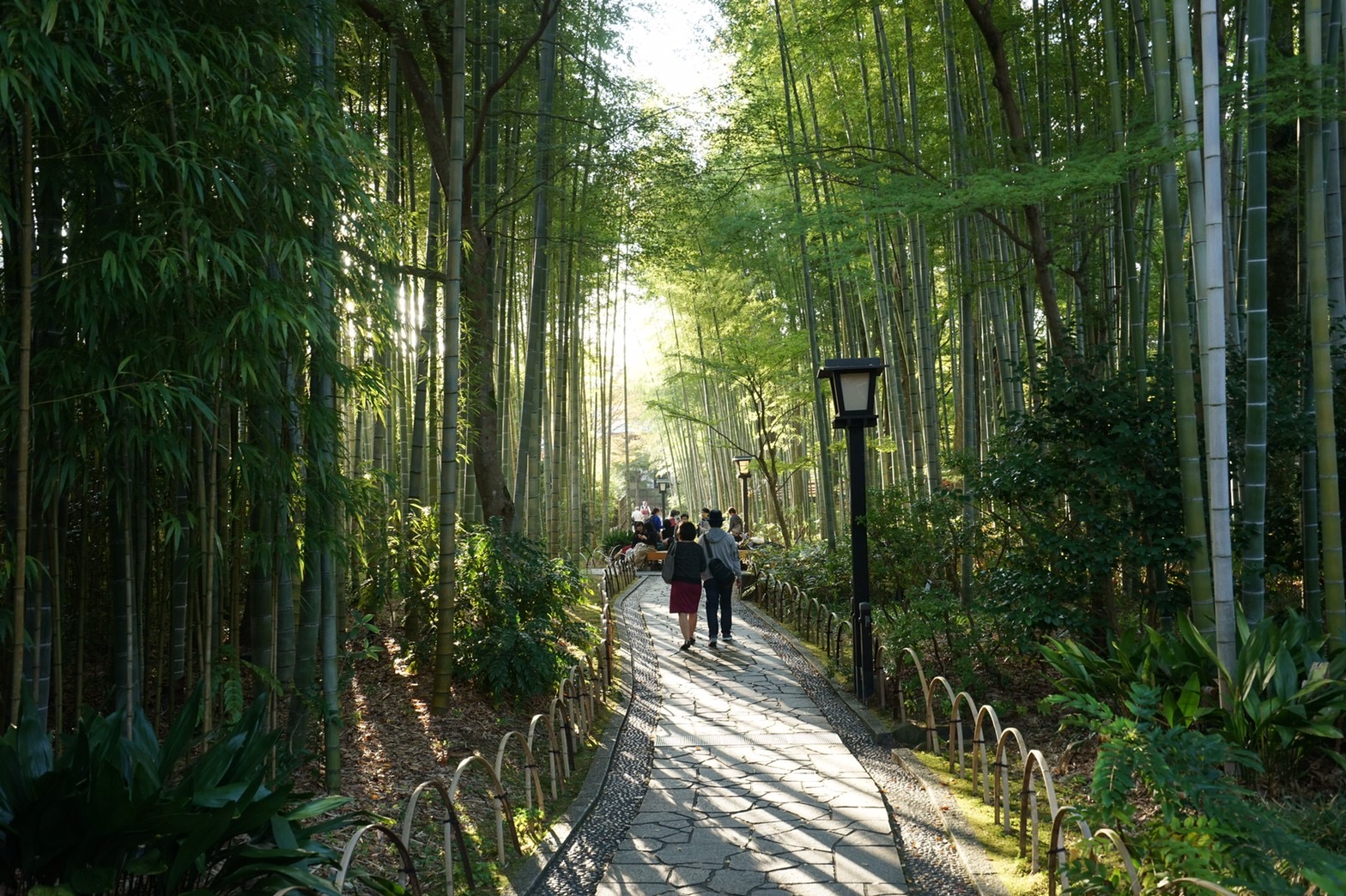 竹林の小径｜Bamboo Forest Pass (daytime)