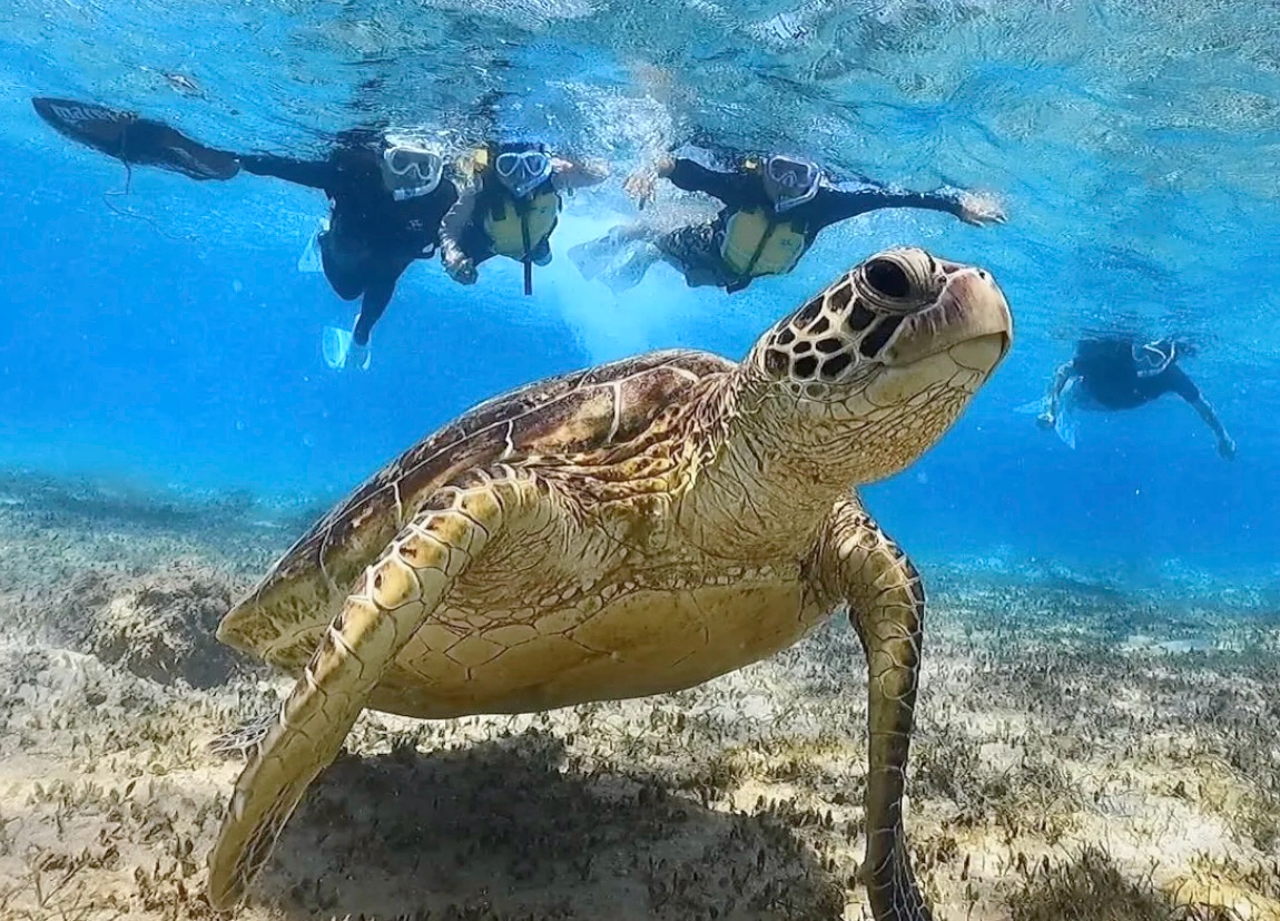 isola blueアクティビティツアー