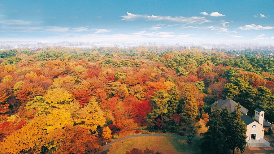 **【庭園・秋（一例）】紅葉した昭和の森は、客室からも眺められる絶景です
