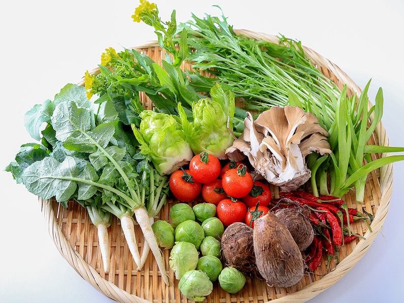 旬野菜コース