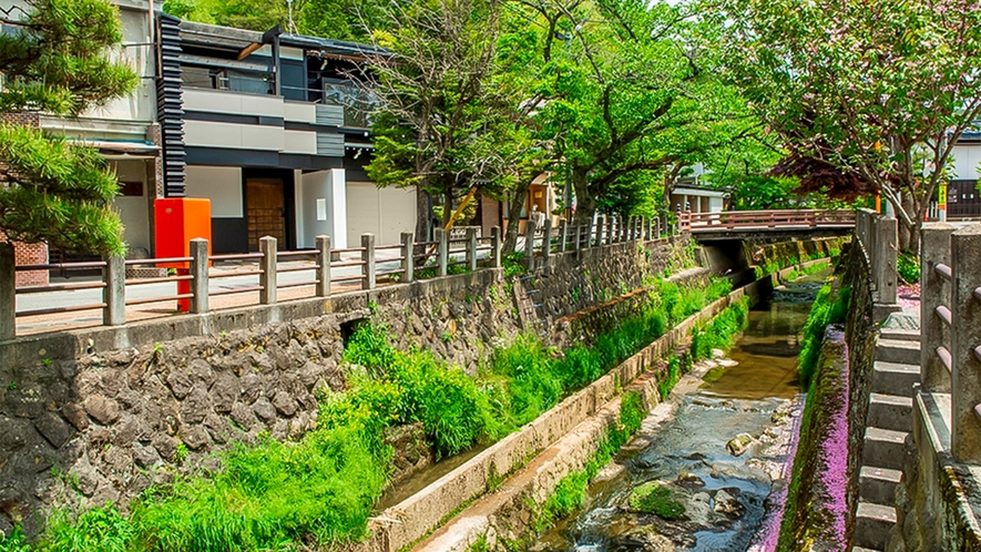 【青花】・すみや 青花のすぐ前を江名子川が優しく流れます