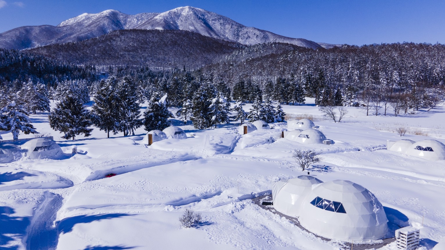 【連泊】【森に溶け込む、五感の贅沢】自然・食・癒しがひとつになる、大人のためのオールインクルーシブ