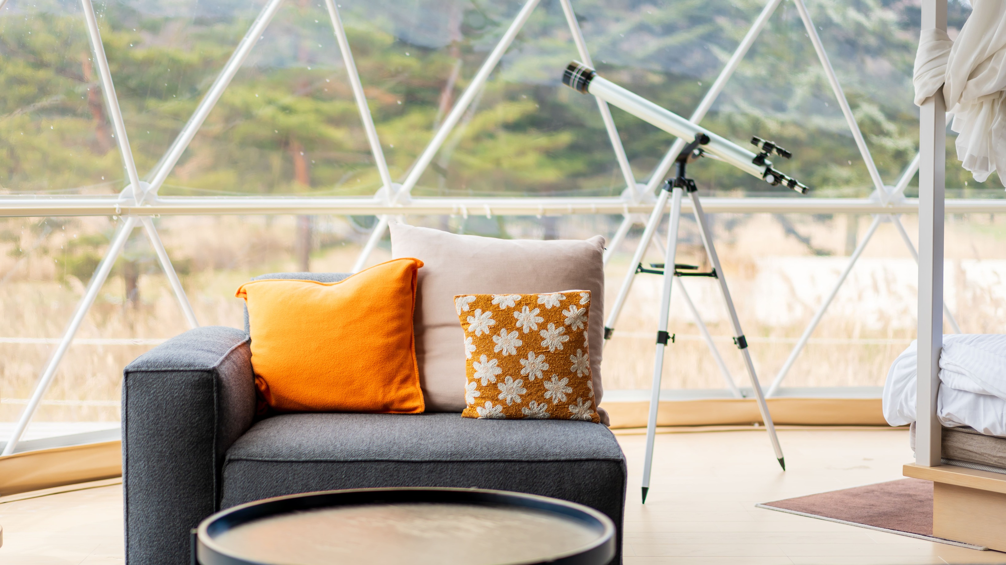 エグゼクティブスイート・シングルドーム