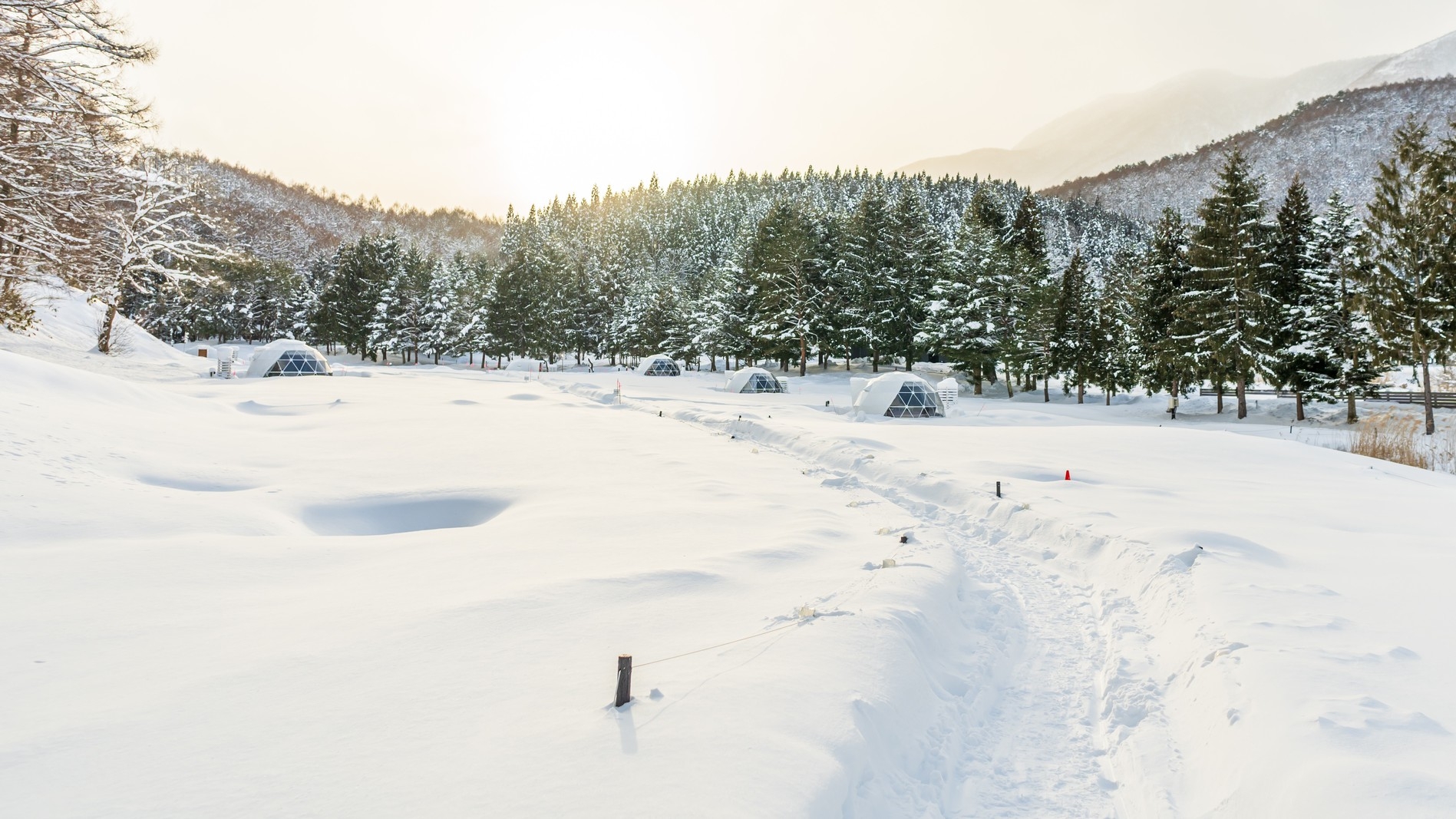 FOREST SIDE◆しゃぶしゃぶディナー×オールインクルーシブ │リフト1日券・レンタル付