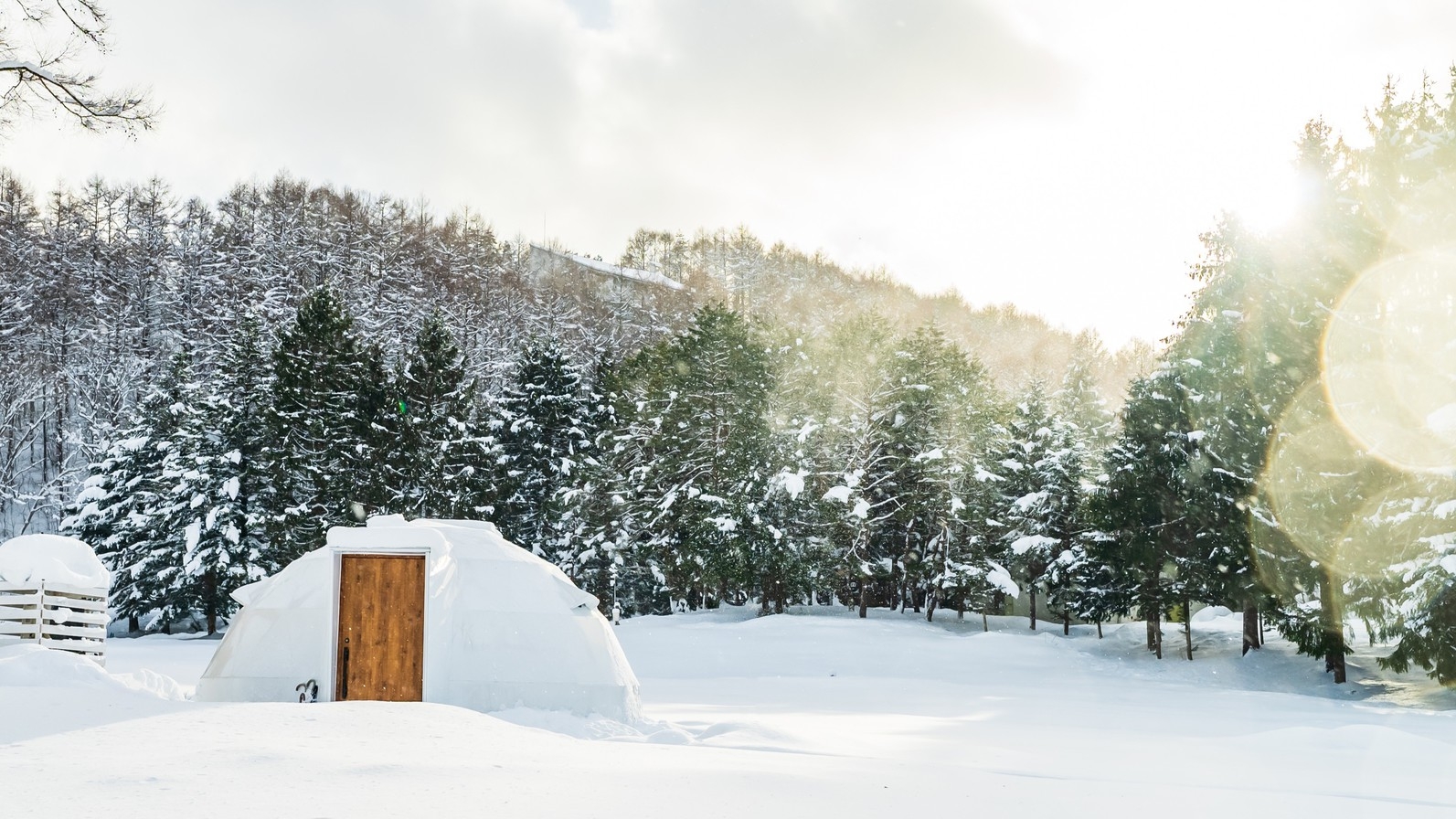 FOREST SIDE│ドームテントで過ごす雪の休日 　手ぶらで贅沢スキースノボ旅＜リフト1日券付＞