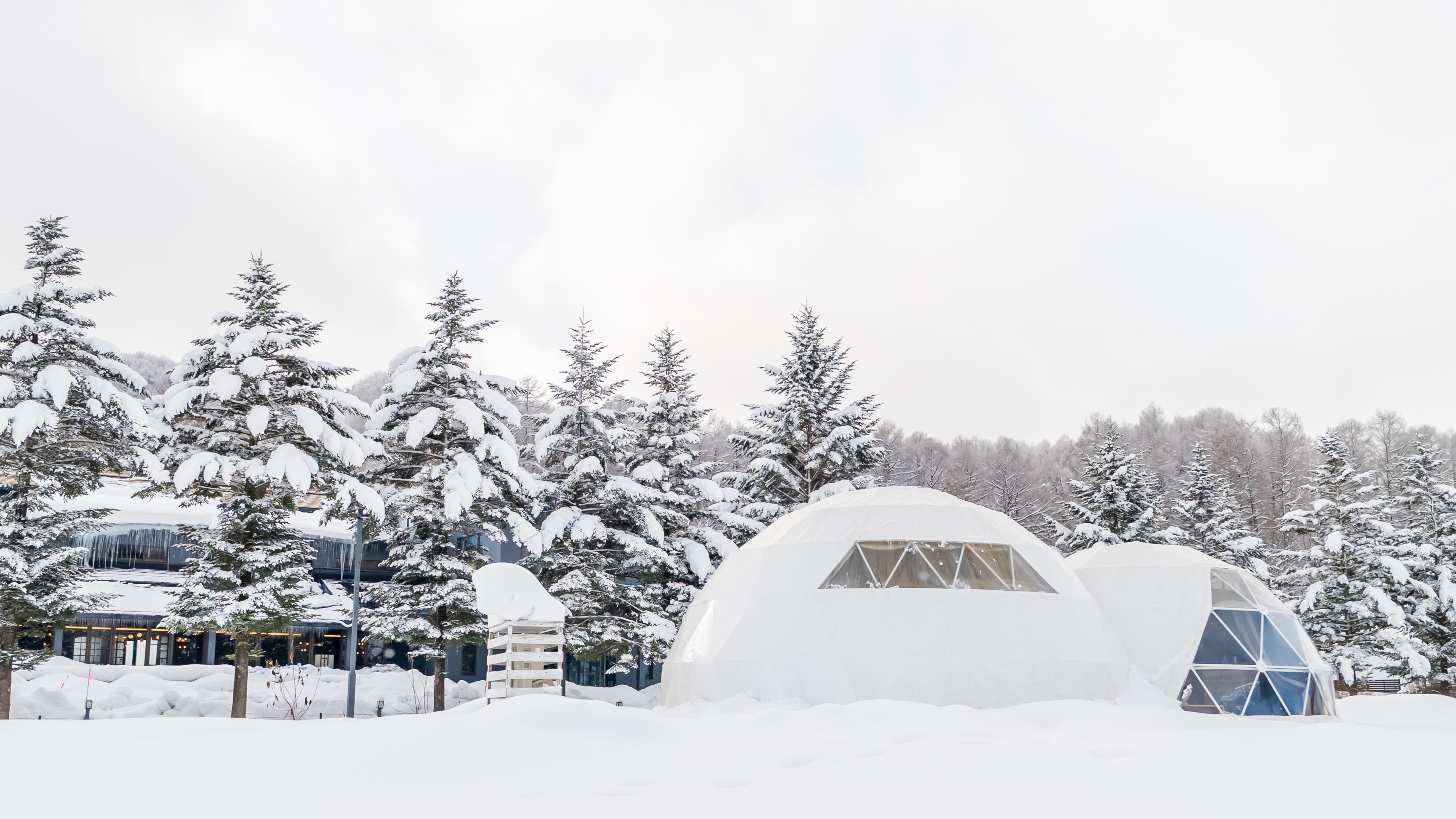 飯綱高原は一面の銀世界