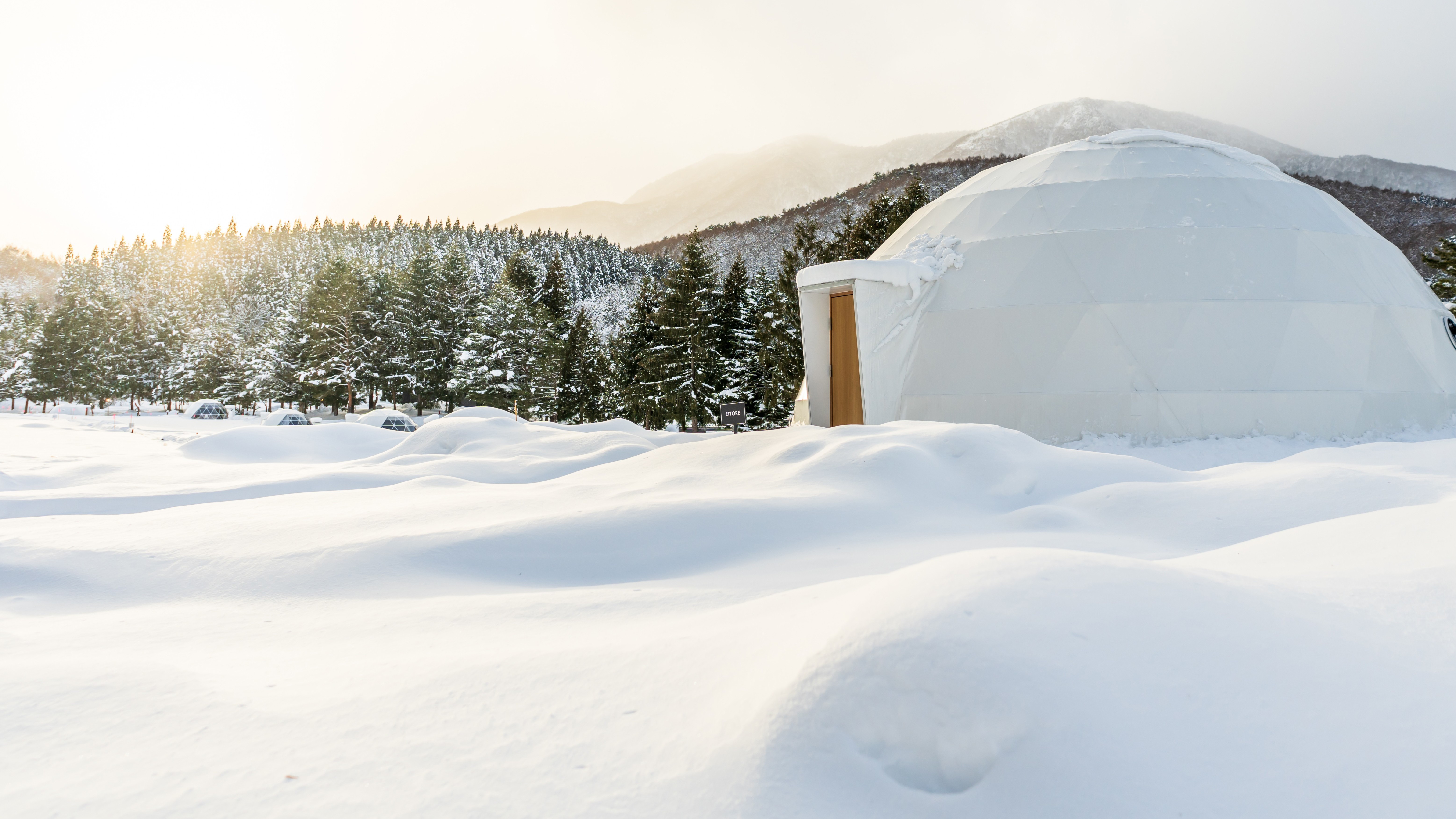 美しい新雪を踏みしめる