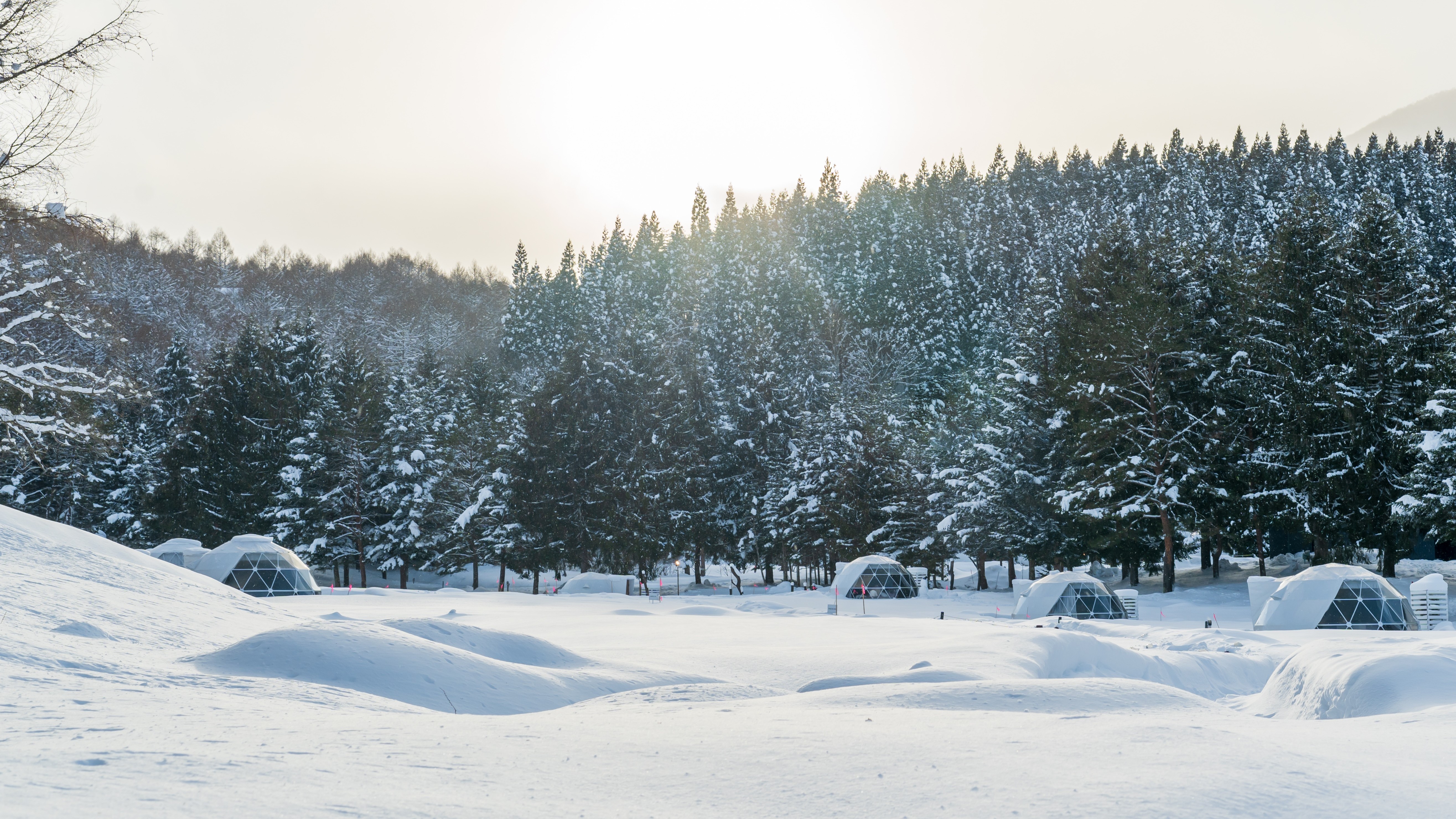 雪の日の夕方の景色