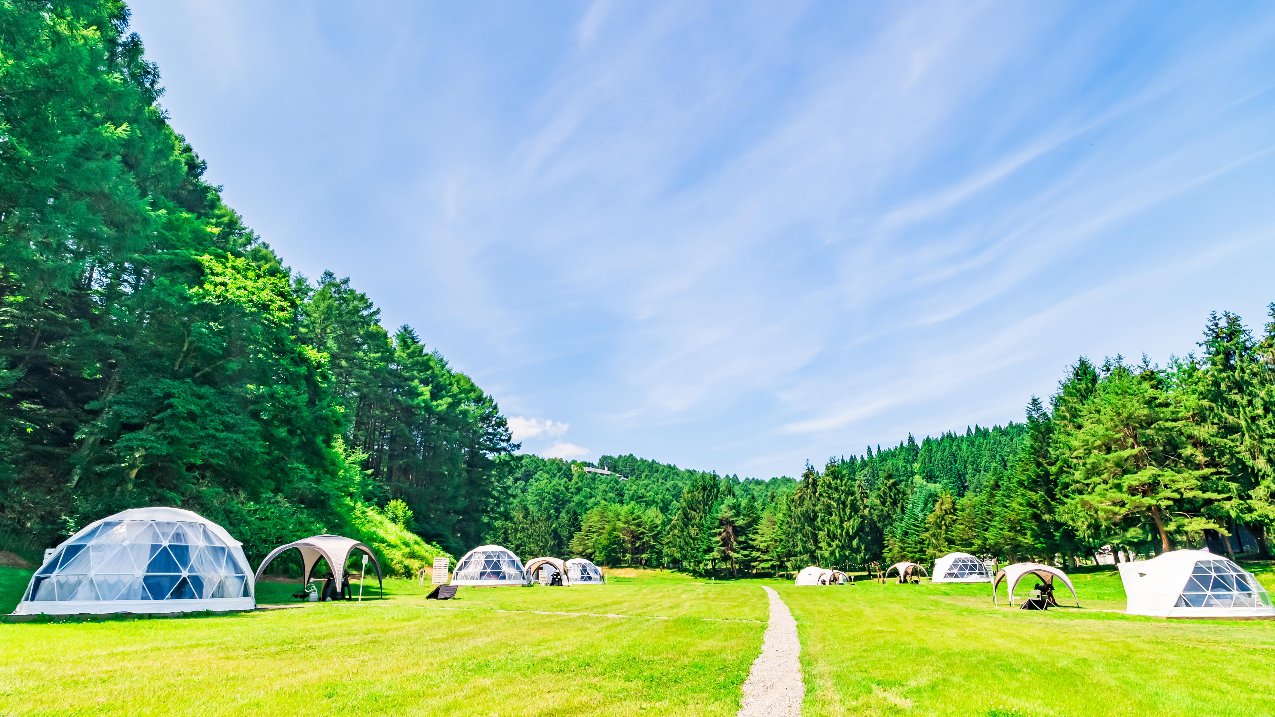 青空の下のFOREST SIDE