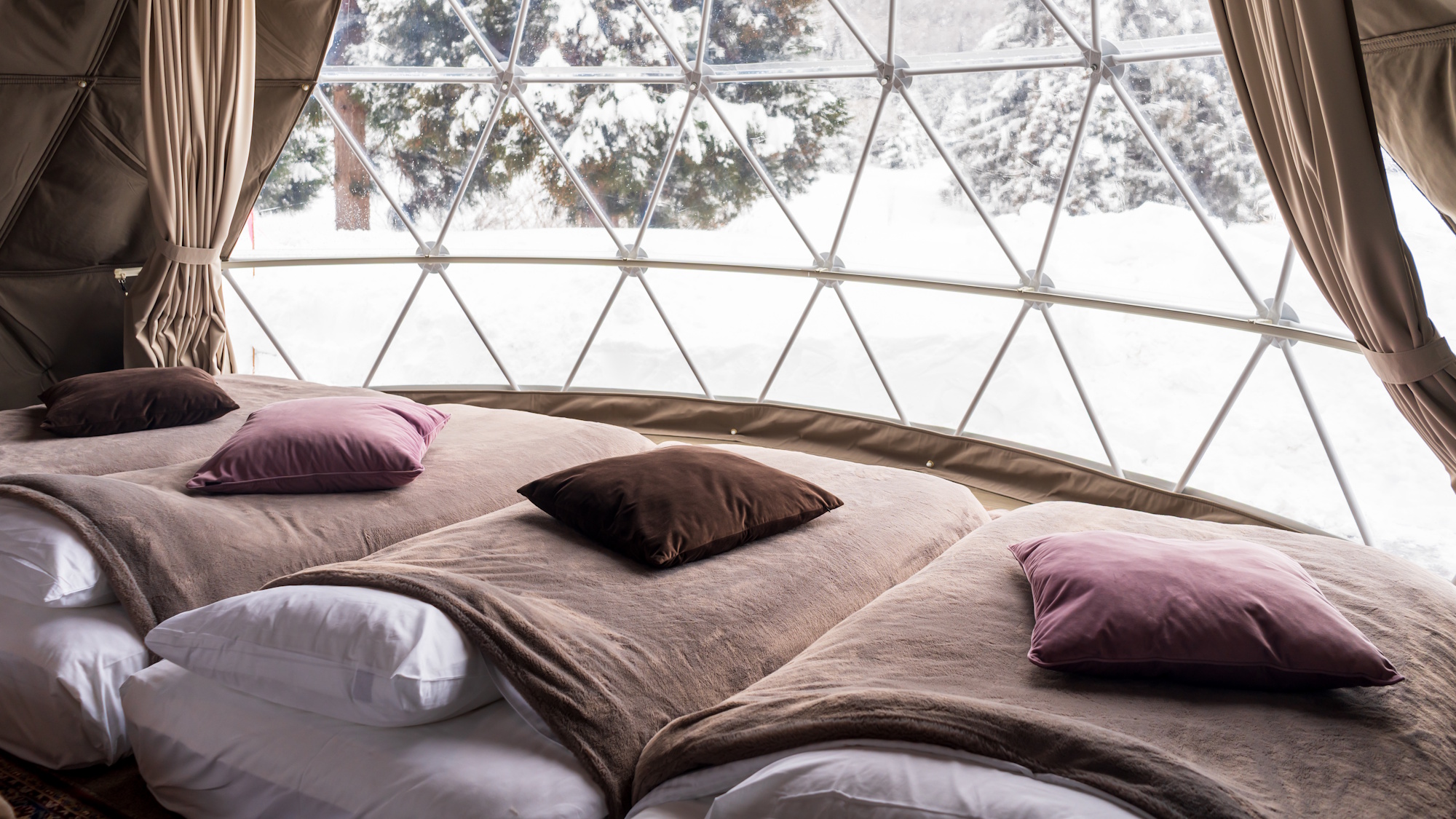 寒い日もドームの中はあたたかい（シングルドーム）