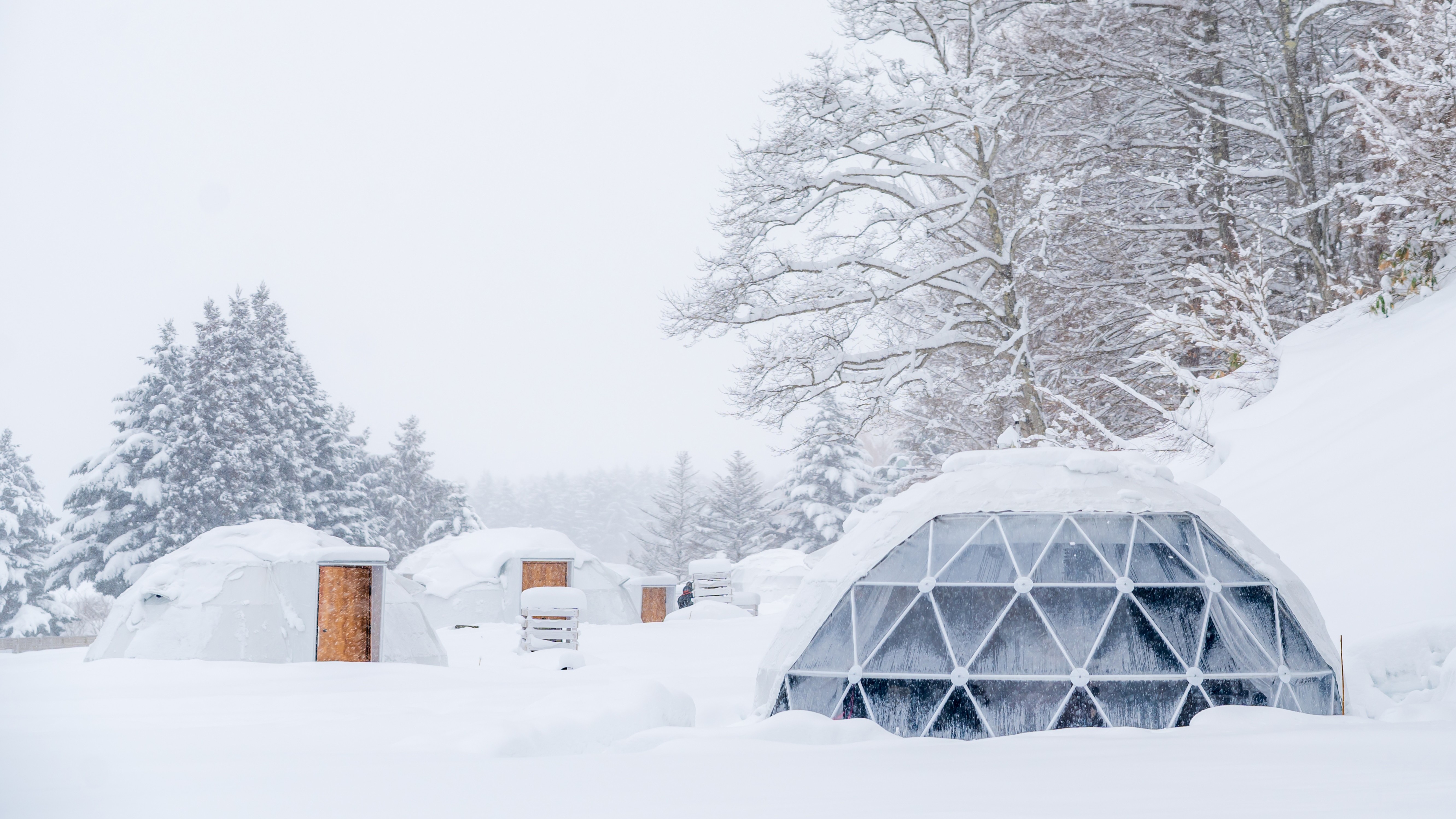 広い窓から見る冬の景色